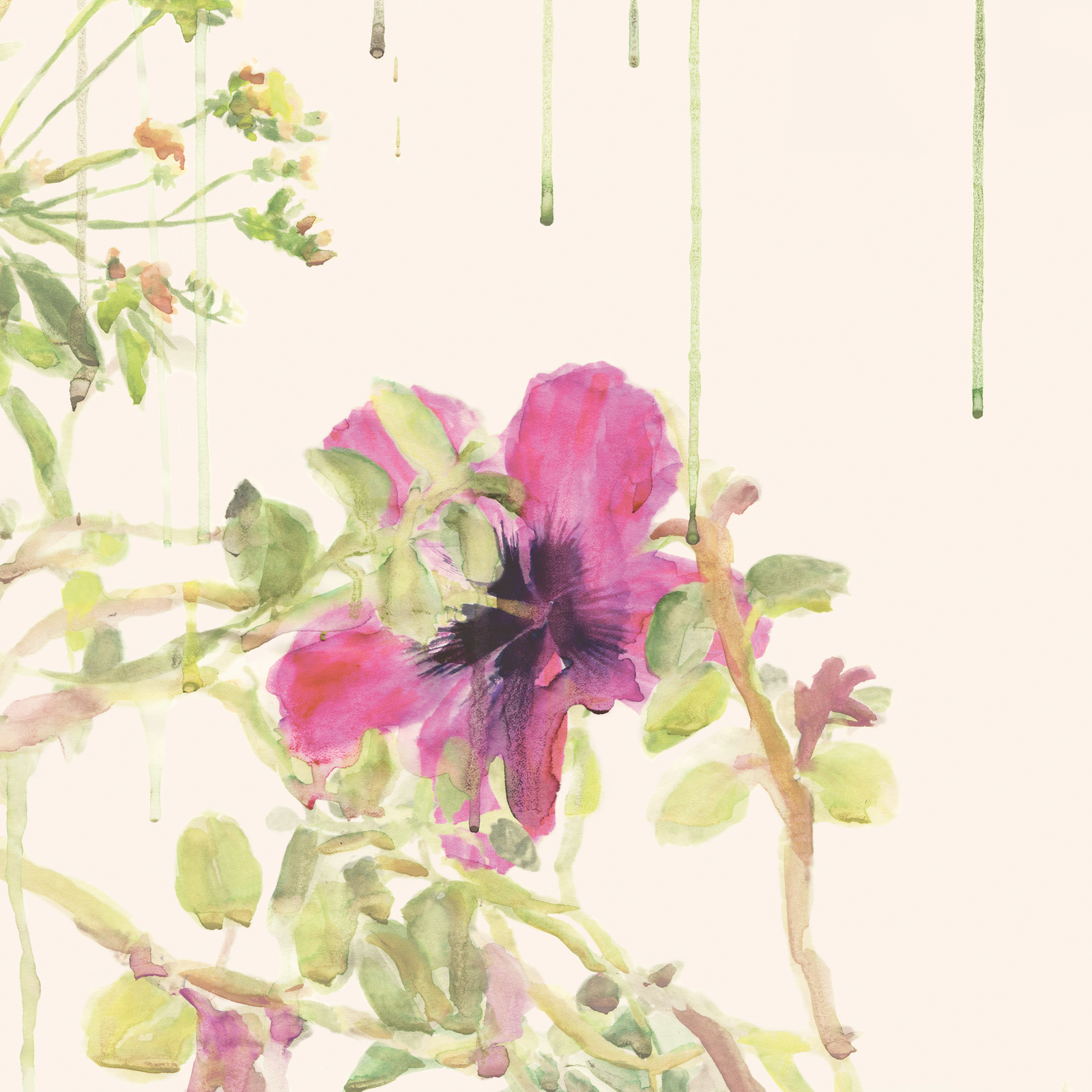Spring Wild Rain Wallpaper