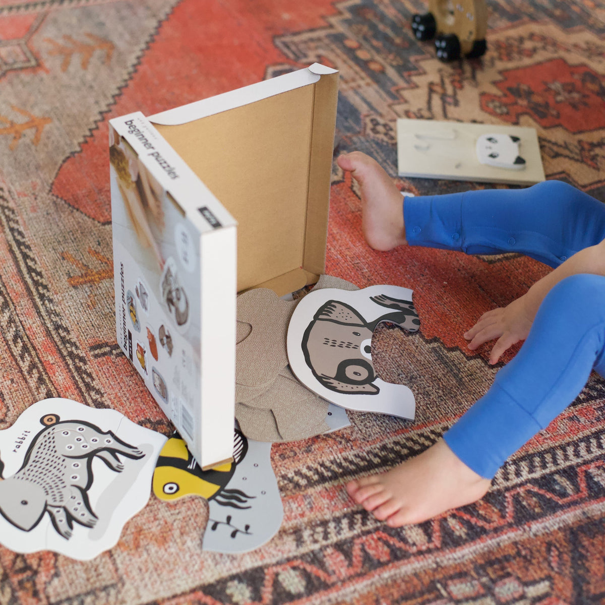 Pet Beginner Puzzles