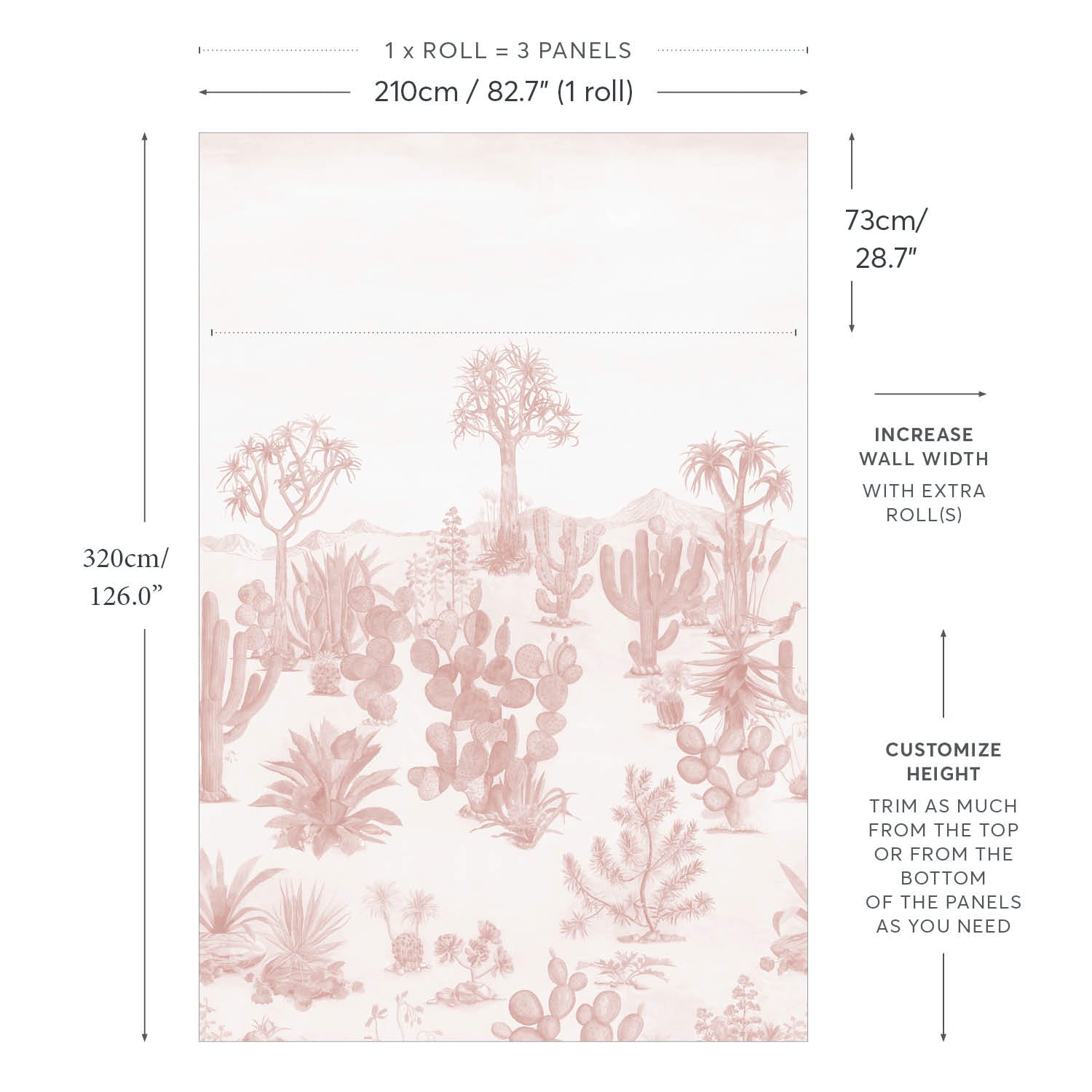Desert Wallpaper Mural