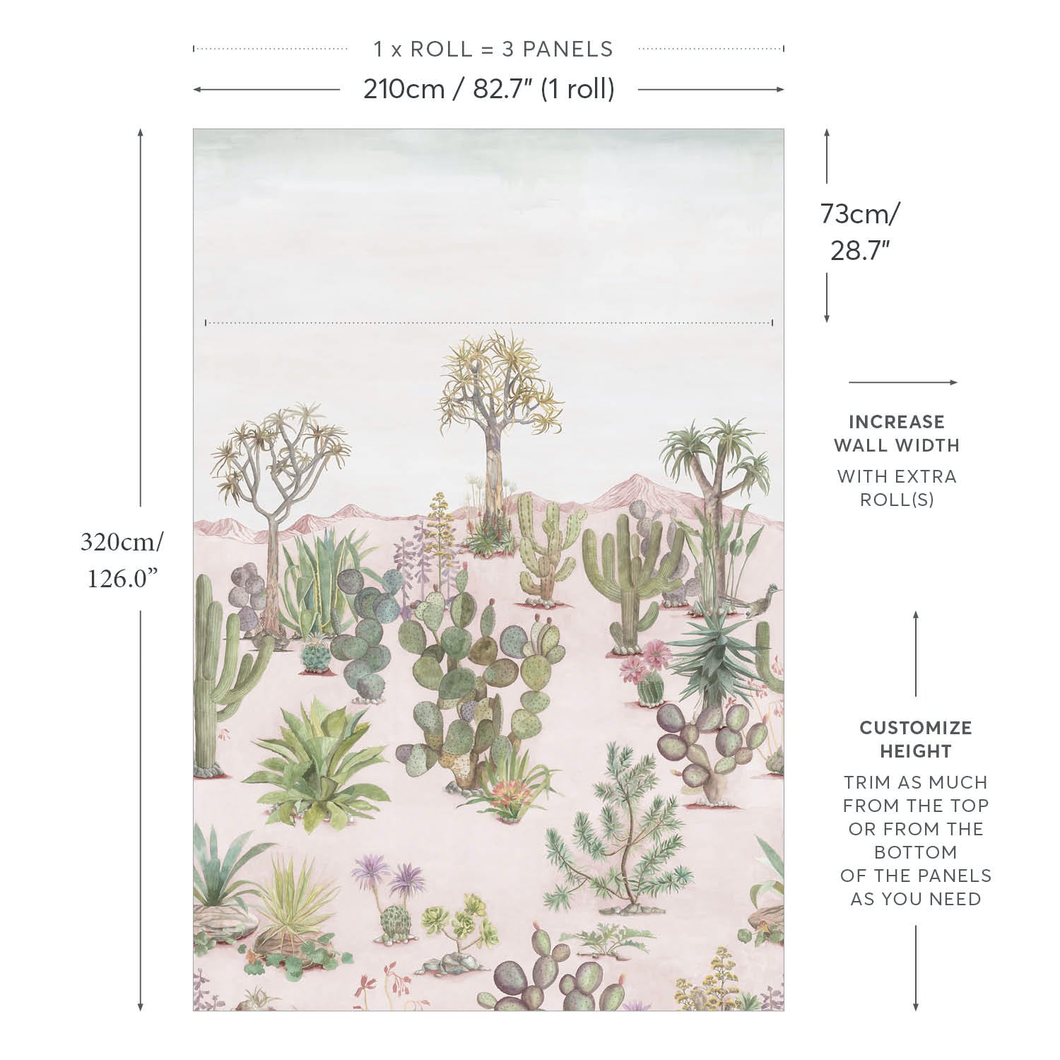 Desert Wallpaper Mural