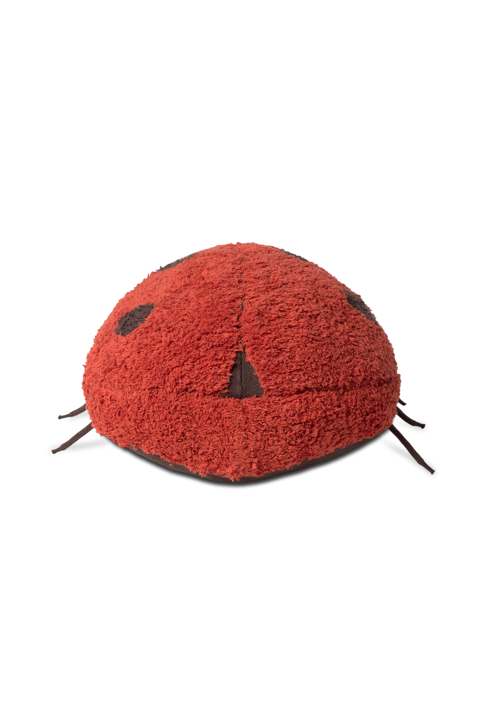 Ladybug Floor Cushion