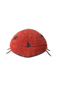 Ladybug Floor Cushion