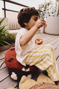 Ladybug Floor Cushion