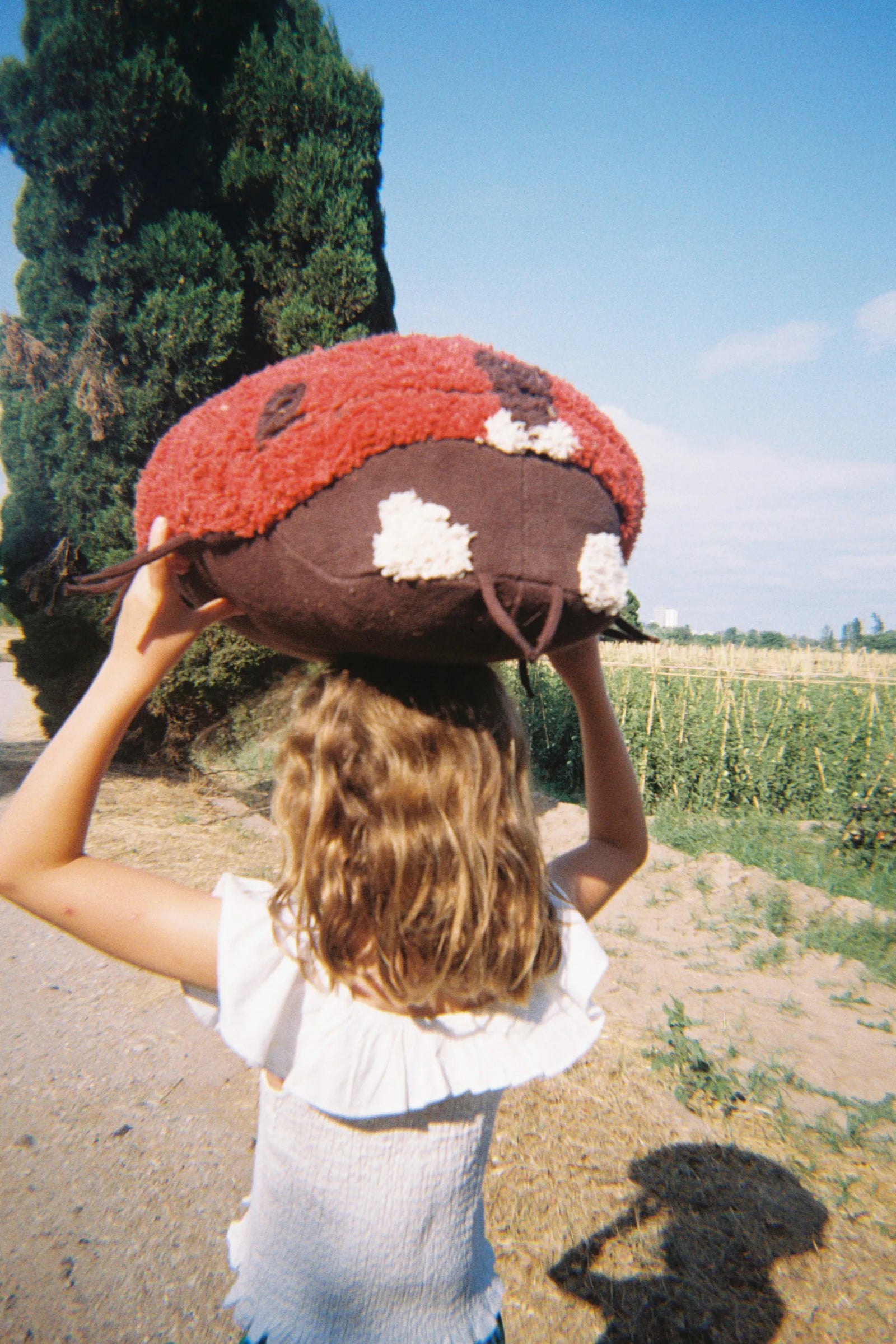 Ladybug Floor Cushion