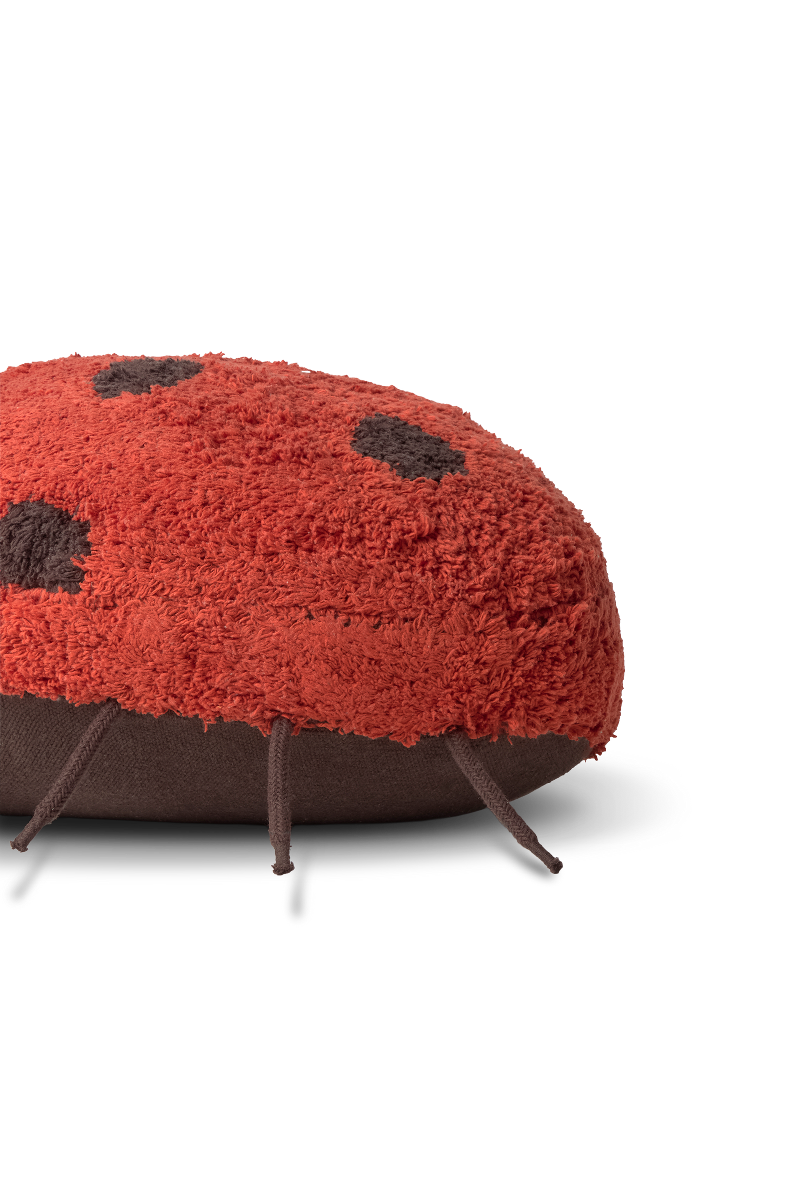 Ladybug Floor Cushion