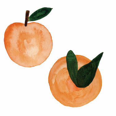 Peach Wall Decals