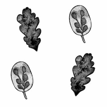 Black Leaves Wall Decal Set