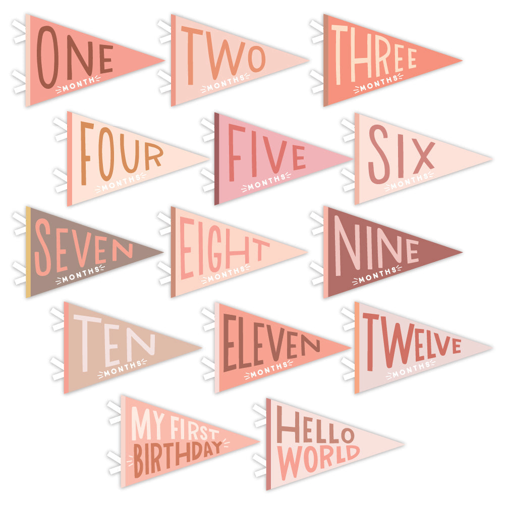 Blushing Meadow Petit Milestone Pennants