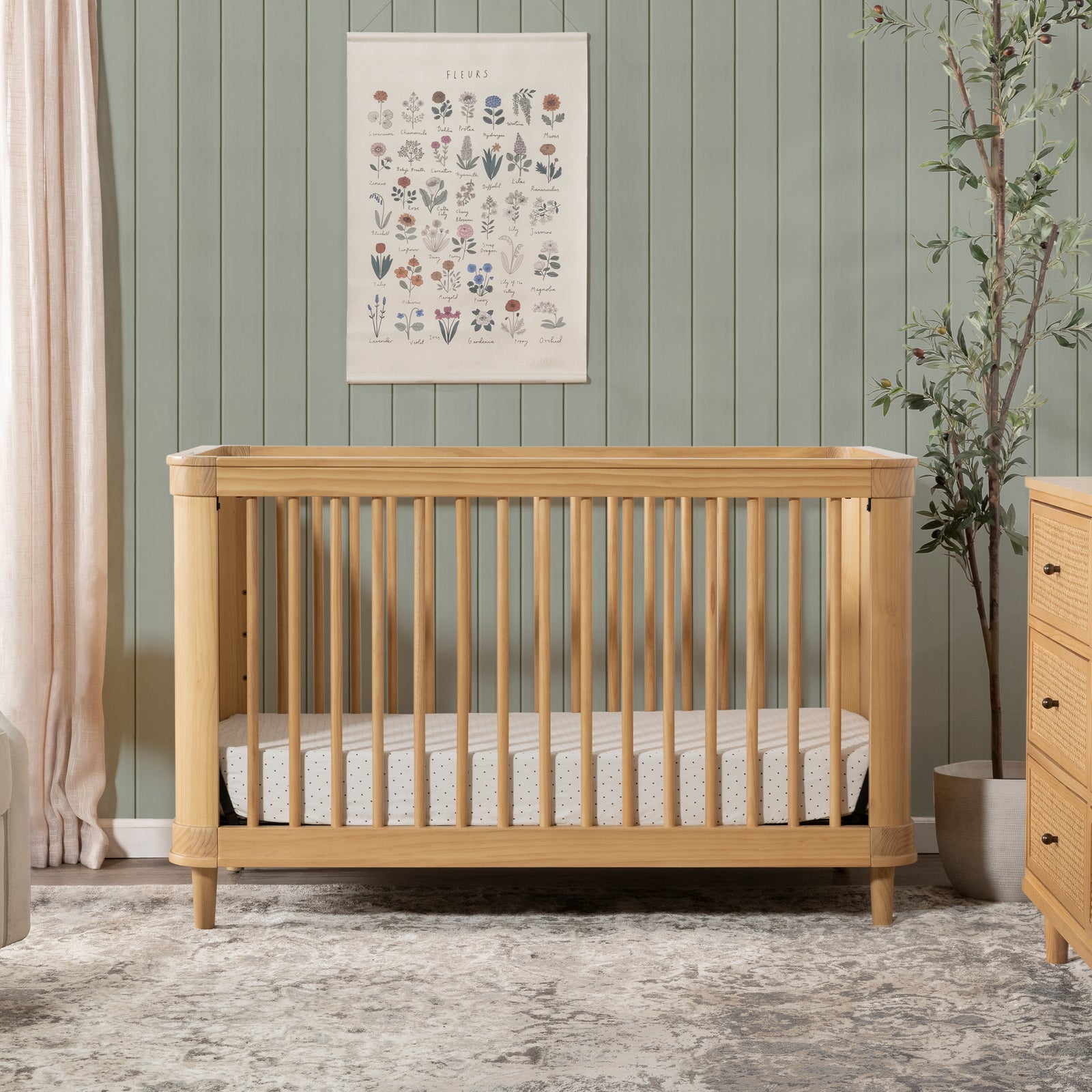 Marin Cane 3-in-1 Convertible Crib