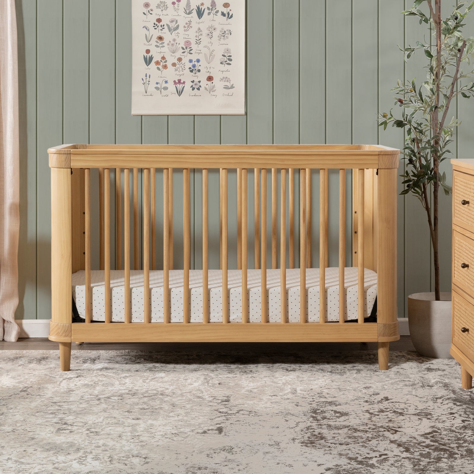 Marin Cane 3-in-1 Convertible Crib