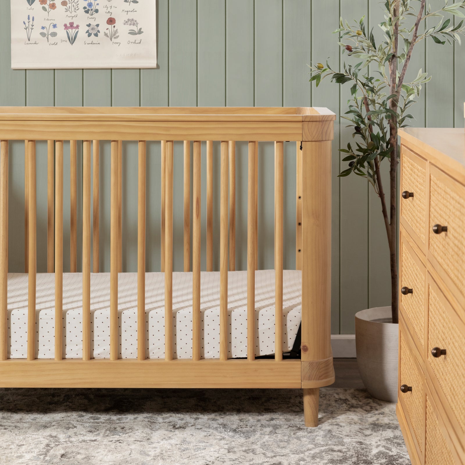 Marin Cane 3-in-1 Convertible Crib