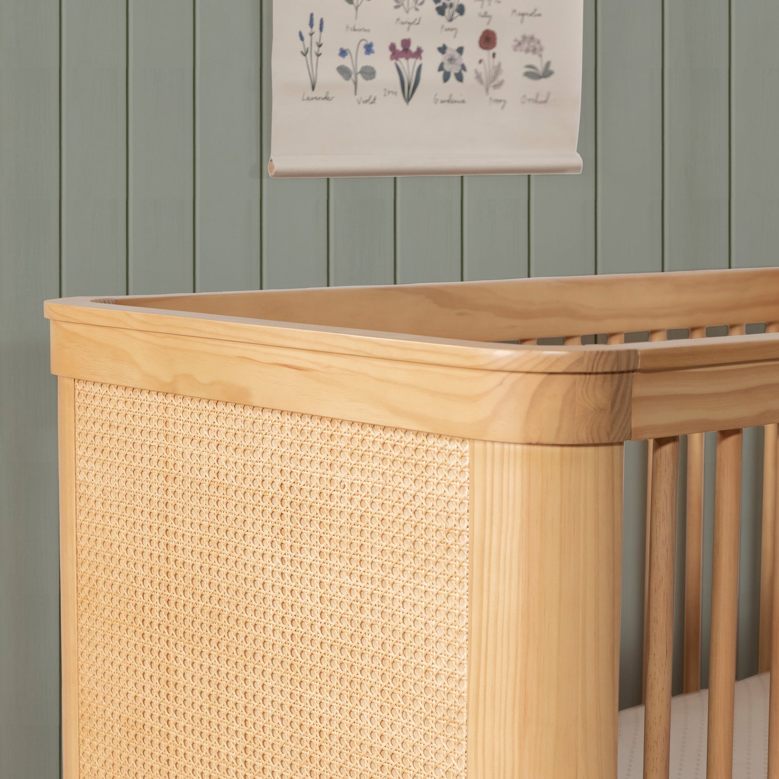 Marin Cane 3-in-1 Convertible Crib