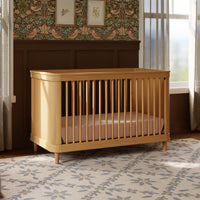 Marin Cane 3-in-1 Convertible Crib