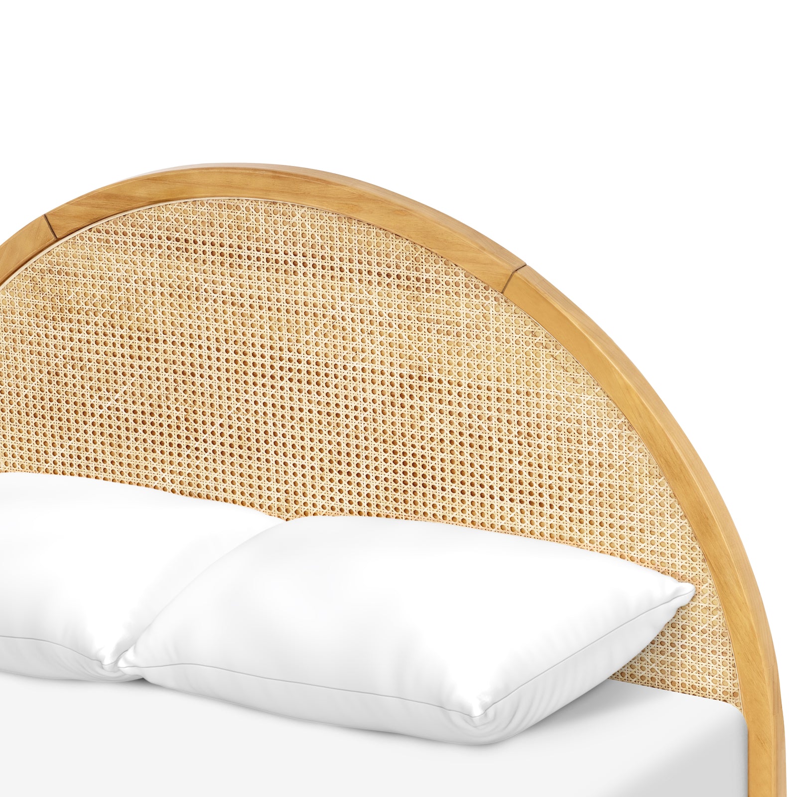 Bondi Cane Full Bed