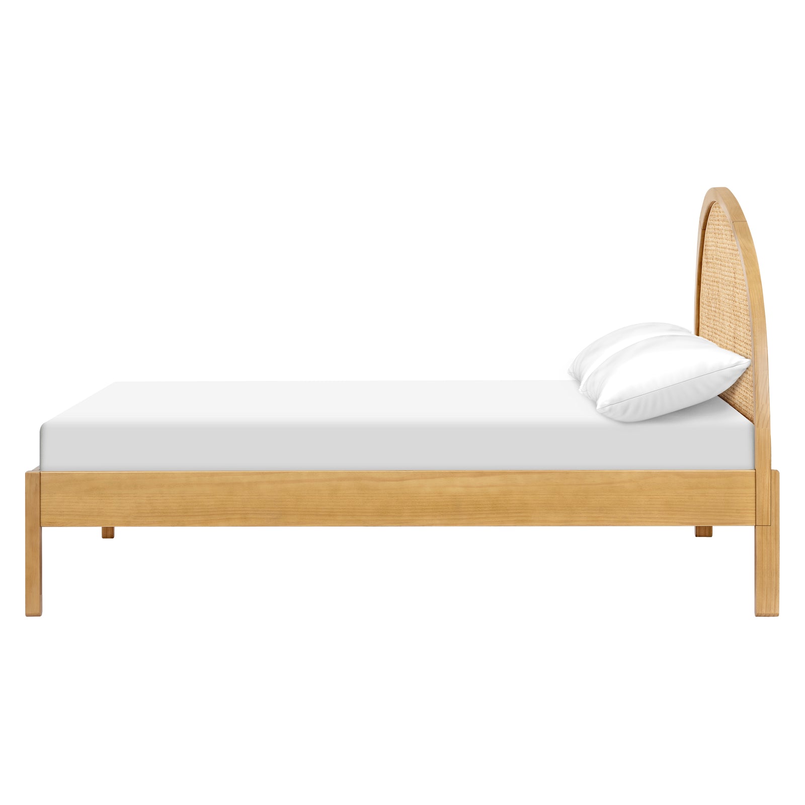 Bondi Cane Full Bed