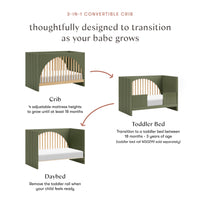 Moab 3-in-1 Convertible Crib