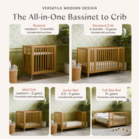 Rolli 9-in-1 Convertible All-Stages Crib with Bassinet + Toddler Bed Conversion Kits