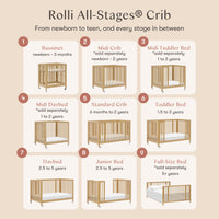 Rolli 9-in-1 Convertible All-Stages Crib with Bassinet + Toddler Bed Conversion Kits