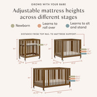 Rolli 9-in-1 Convertible All-Stages Crib with Bassinet + Toddler Bed Conversion Kits