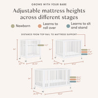 Rolli 9-in-1 Convertible All-Stages Crib with Bassinet + Toddler Bed Conversion Kits