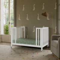 Rolli 9-in-1 Convertible All-Stages Crib with Bassinet + Toddler Bed Conversion Kits