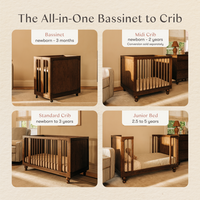 Astre All-Stages® 8-in-1 Crib with Bassinet + Toddler Bed Kits by Nate Berkus