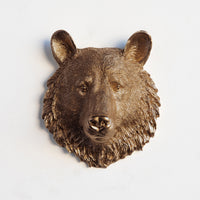 Faux Mini Bear Head Sculpture