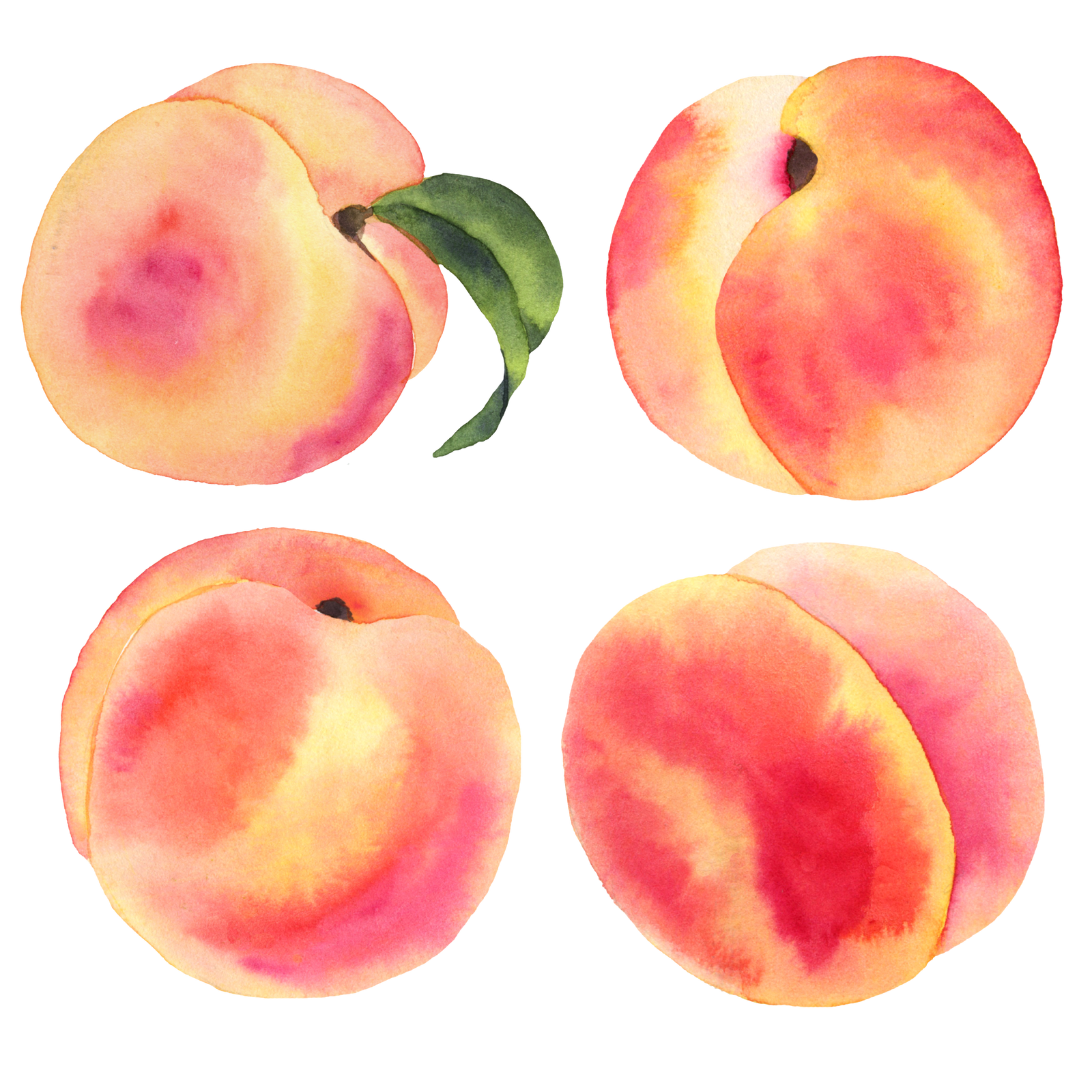 Watercolor Peach + Leaf Wall Decals
