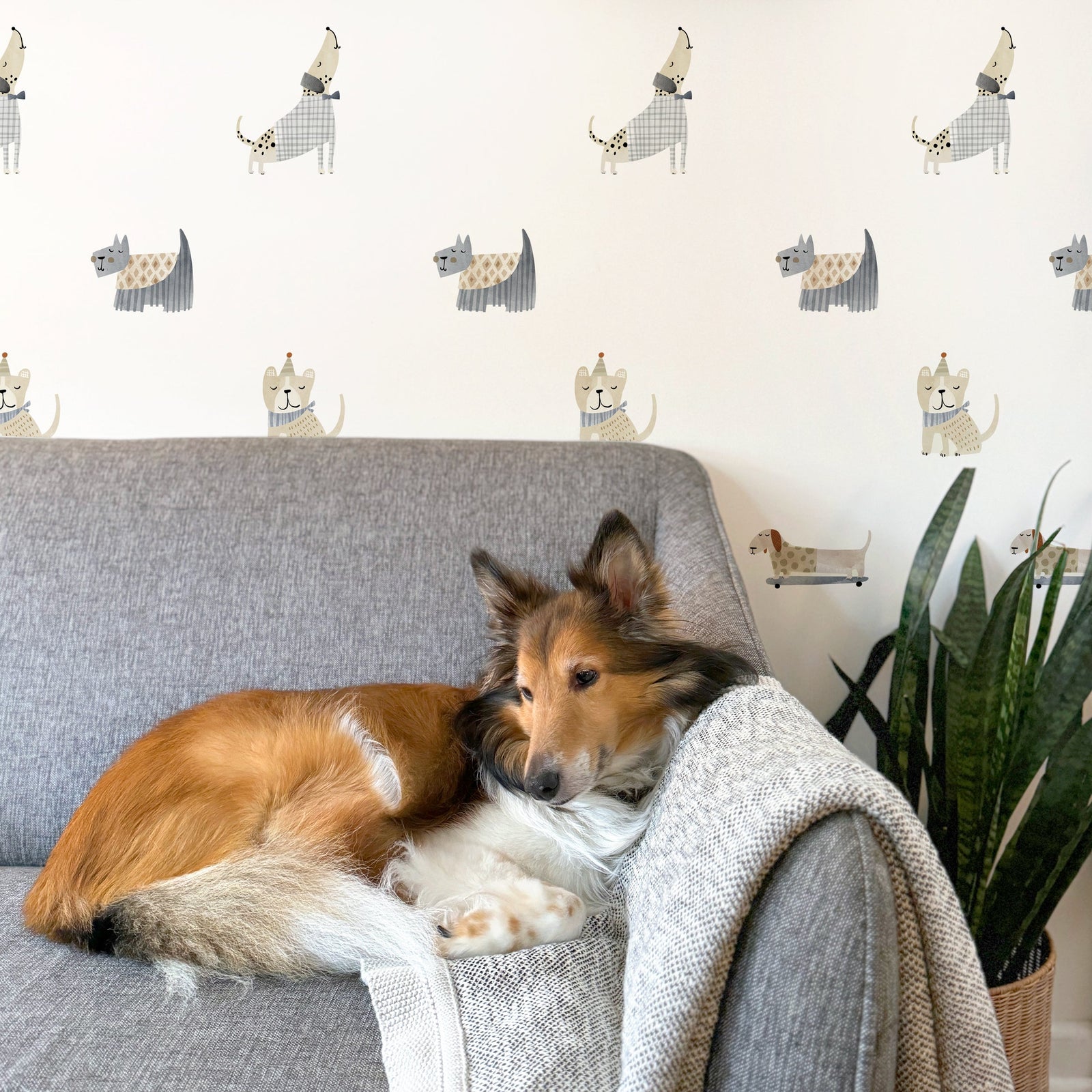 Dog Toss Wall Decals - Latte