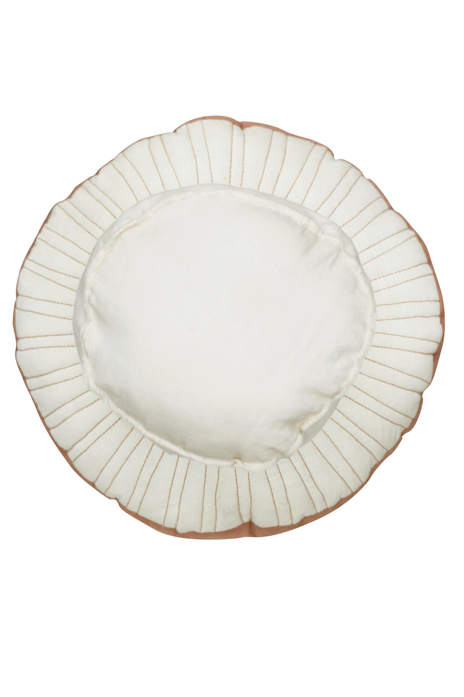 Boletus Mushroom Cushion