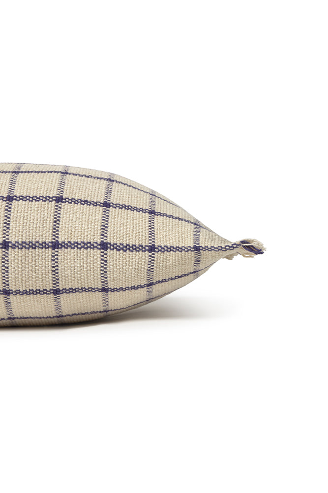 Closeup of checked pillow with fringe