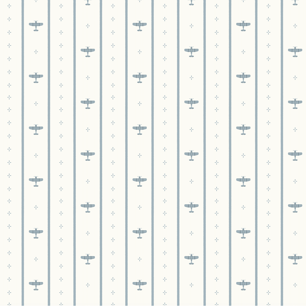 Airplane Wallpaper