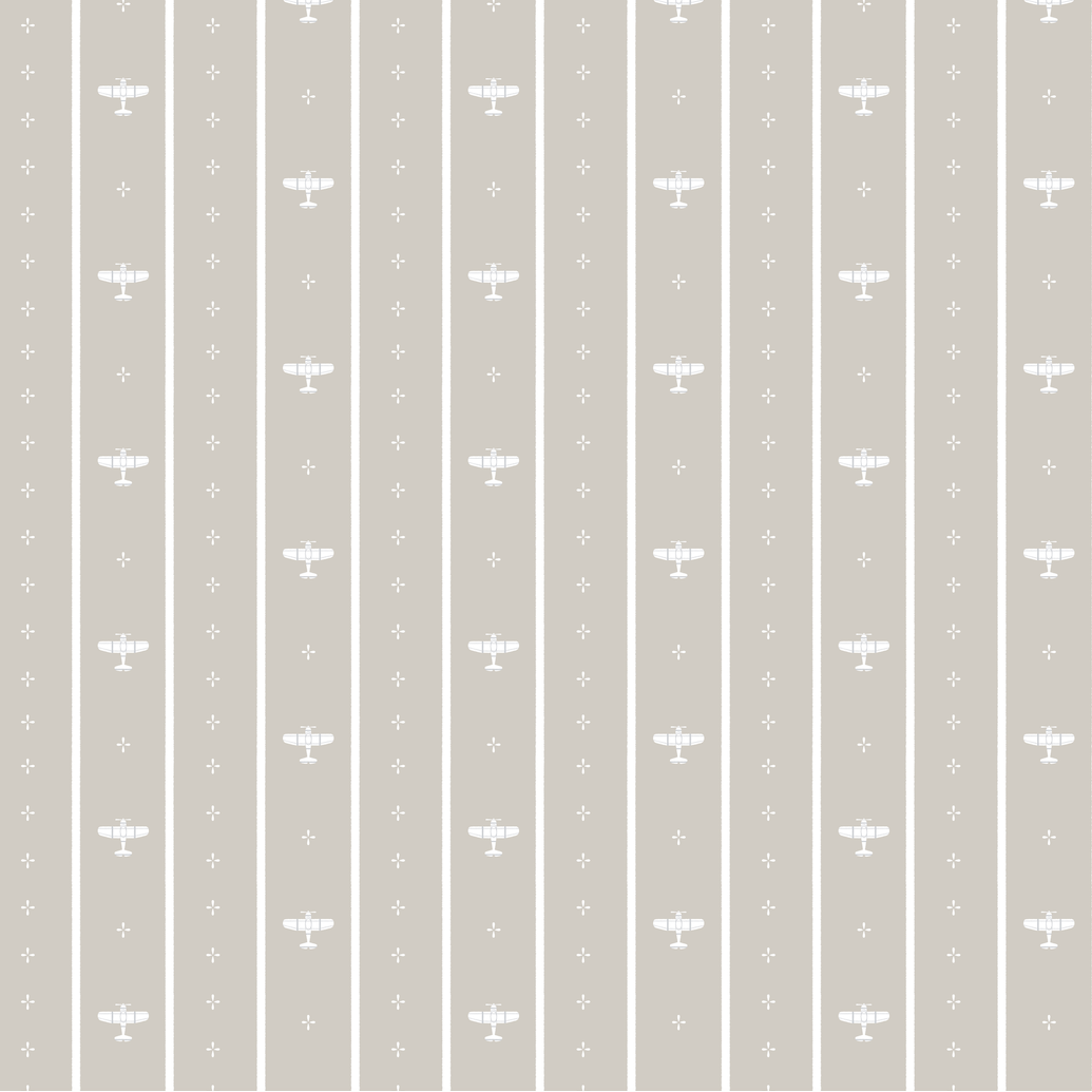 Airplane Wallpaper