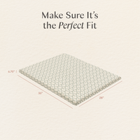 Nate Berkus x Babyletto Baby Bedding in GOTS Certified Organic Brushed Cotton