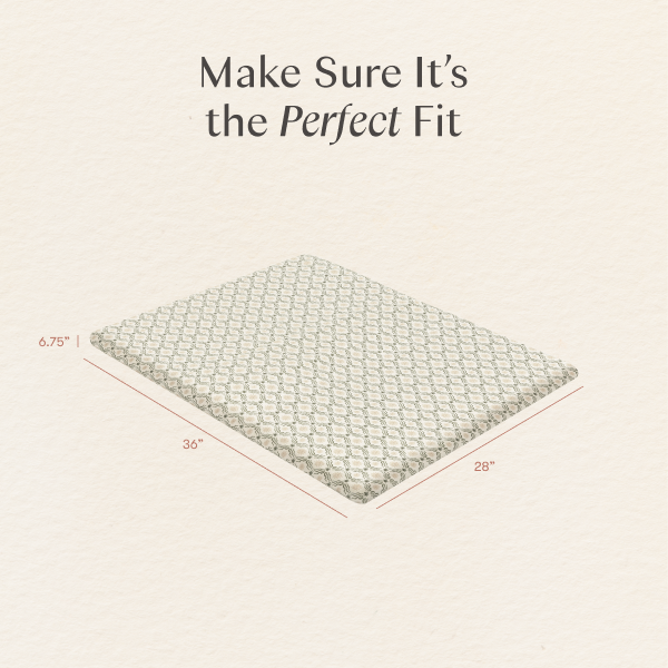 Nate Berkus x Babyletto Baby Bedding in GOTS Certified Organic Brushed Cotton