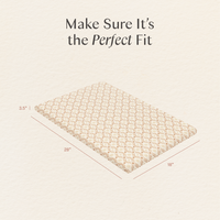 Nate Berkus x Babyletto Baby Bedding in GOTS Certified Organic Brushed Cotton