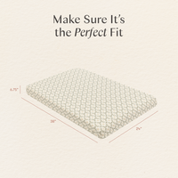 Nate Berkus x Babyletto Baby Bedding in GOTS Certified Organic Brushed Cotton