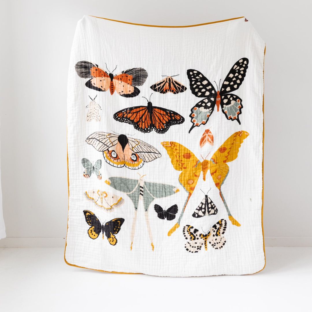 Calhoun & 2024 co butterfly blanket