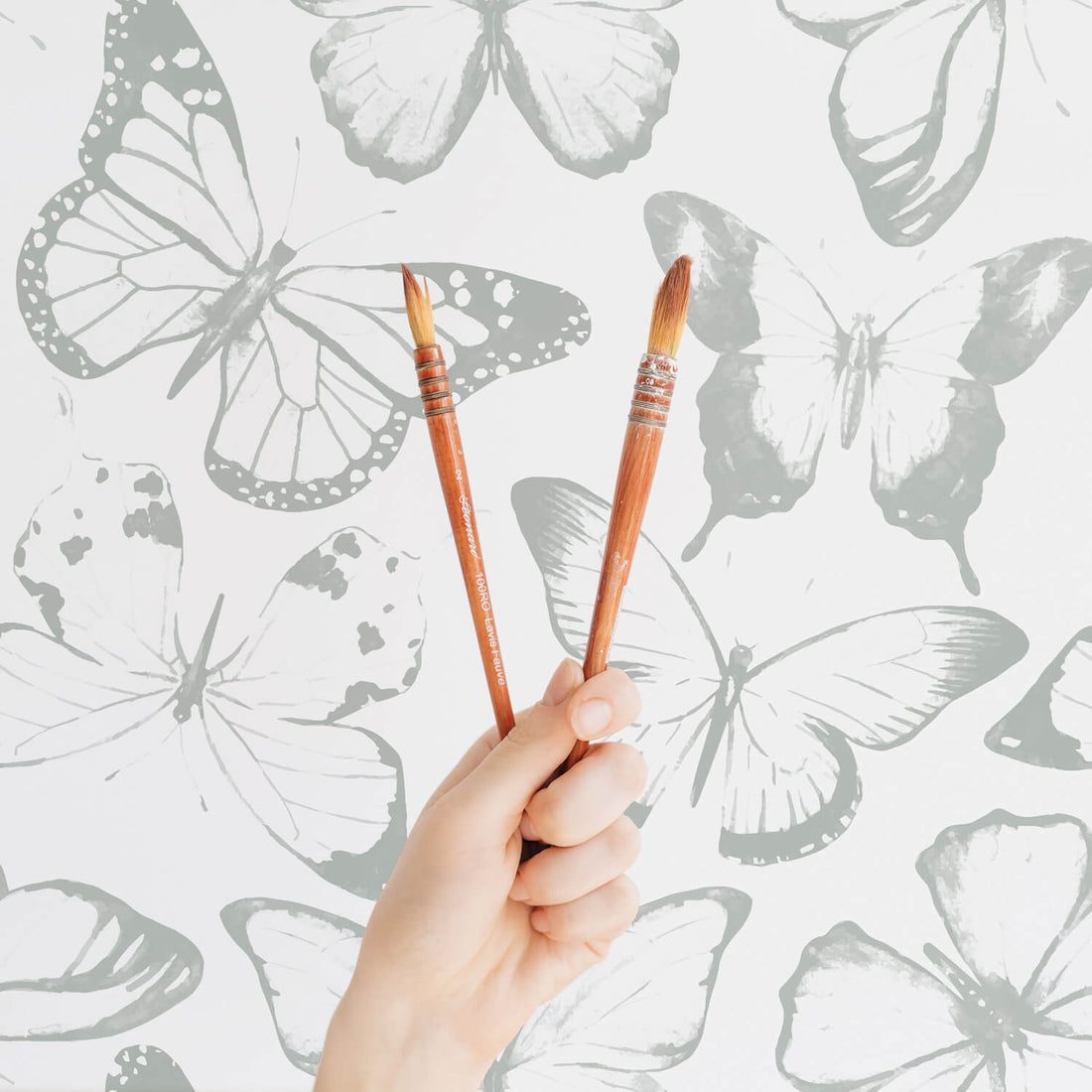 Butterfly Wallpaper