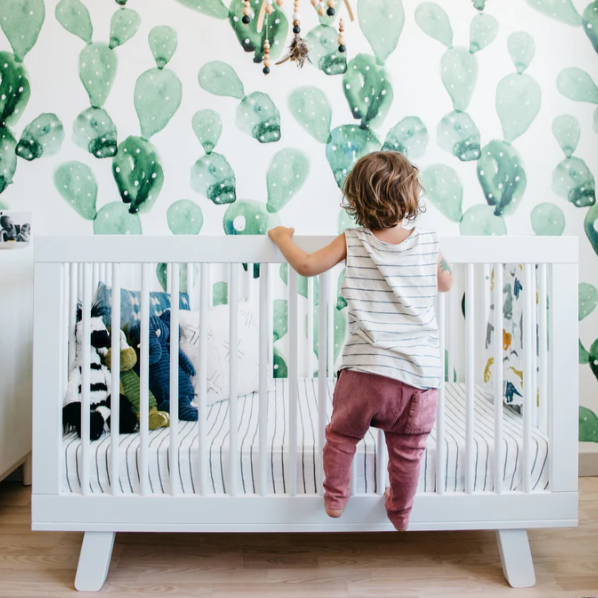 Watercolor Cactus Wallpaper Mural