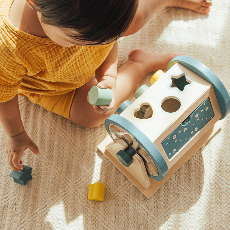 Activity Roller Toy