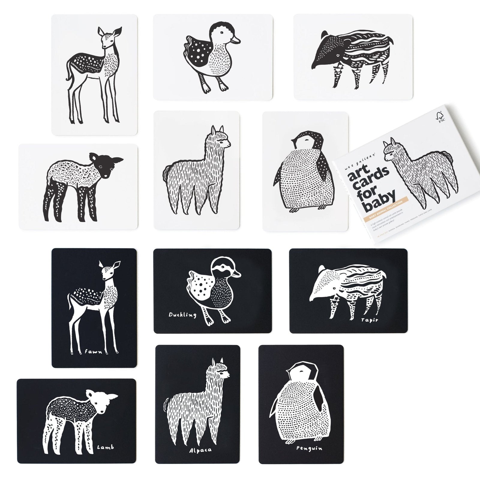 Baby Animal Art Cards
