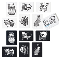 Pet Art Cards