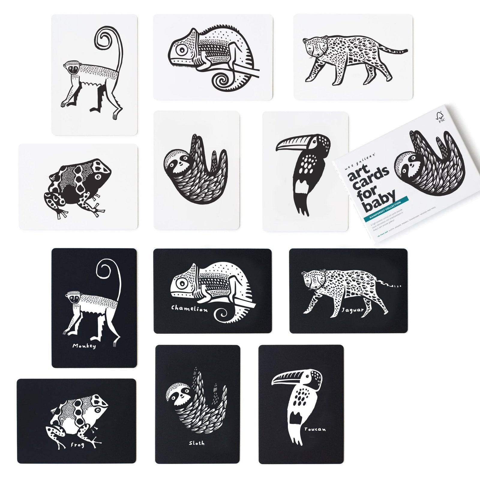 Rainforest Art Cards