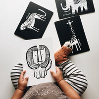 Safari Art Cards