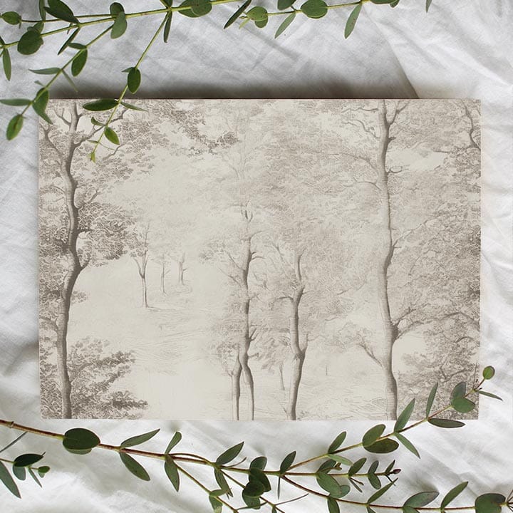 Birch Tree Wallpaper Mural