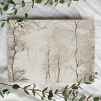 Birch Tree Wallpaper Mural
