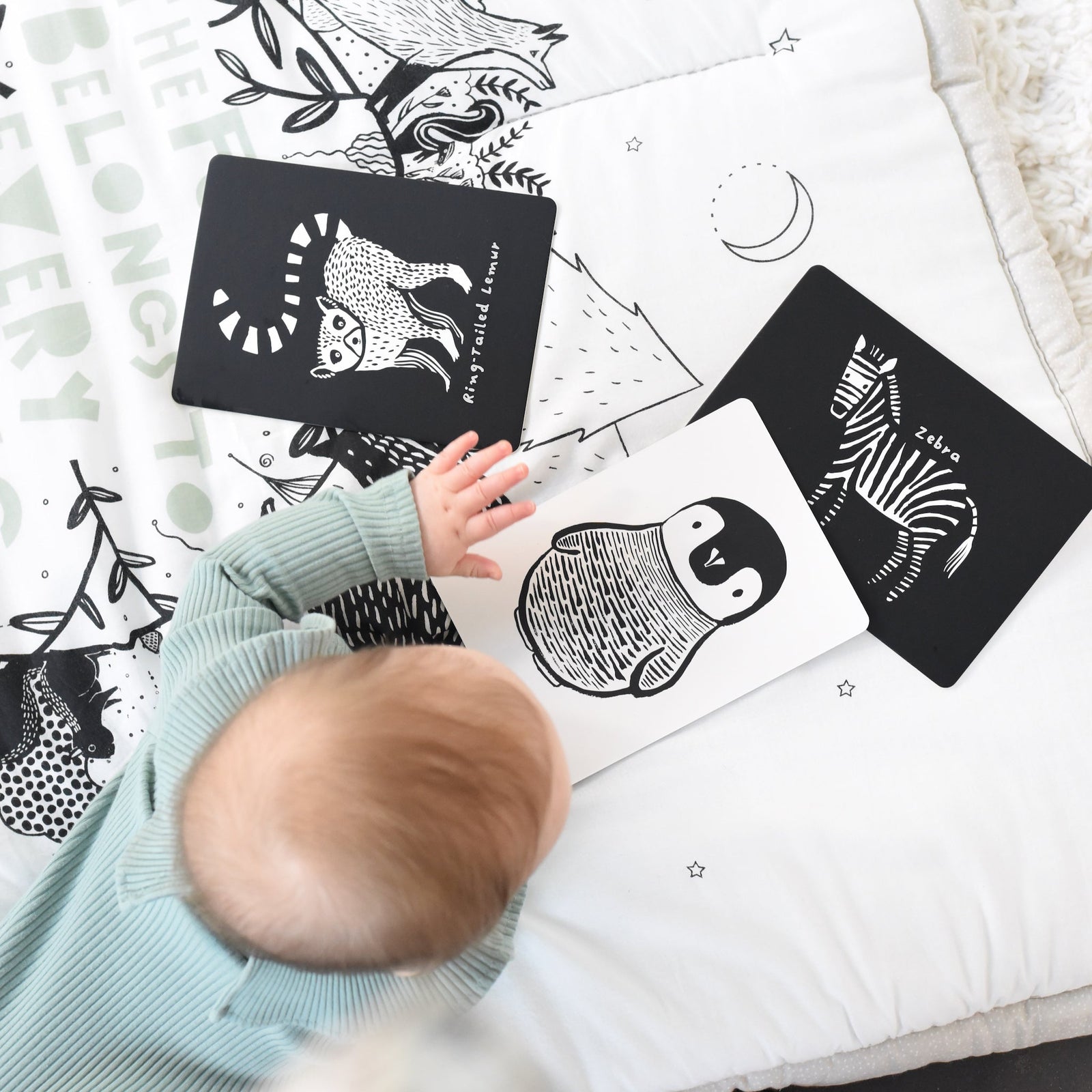 Black + White Art Cards