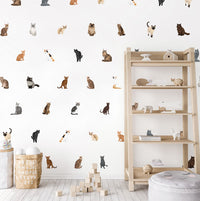 Colorful Cat Wall Decals