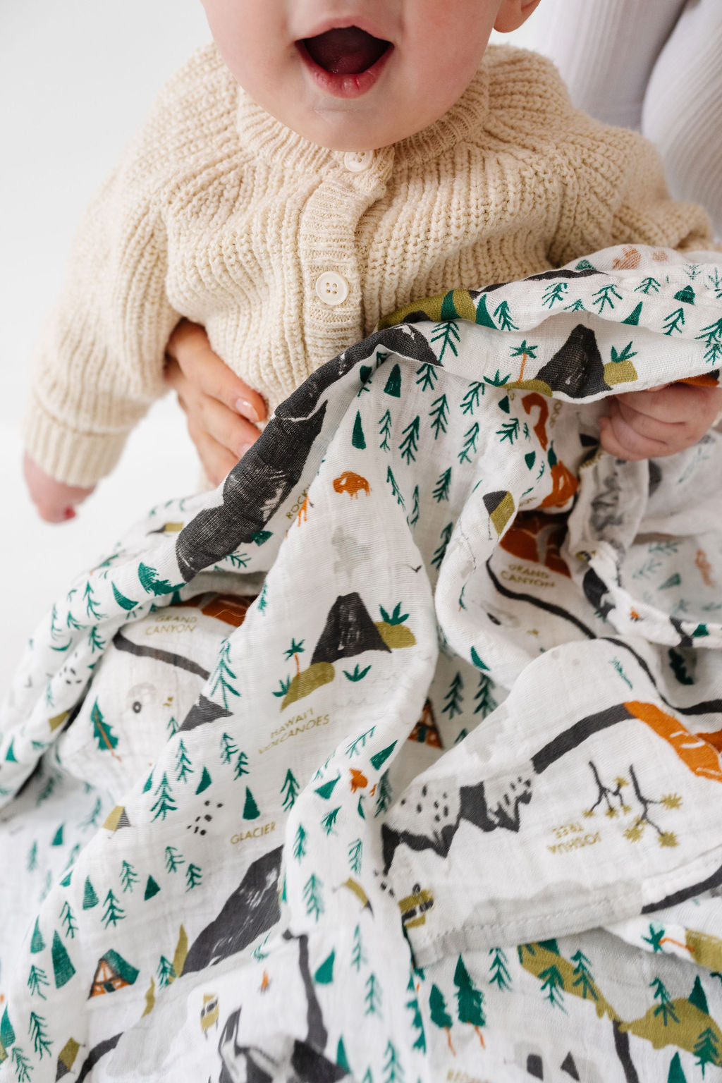 National Parks Swaddle Blanket - Mini Pattern